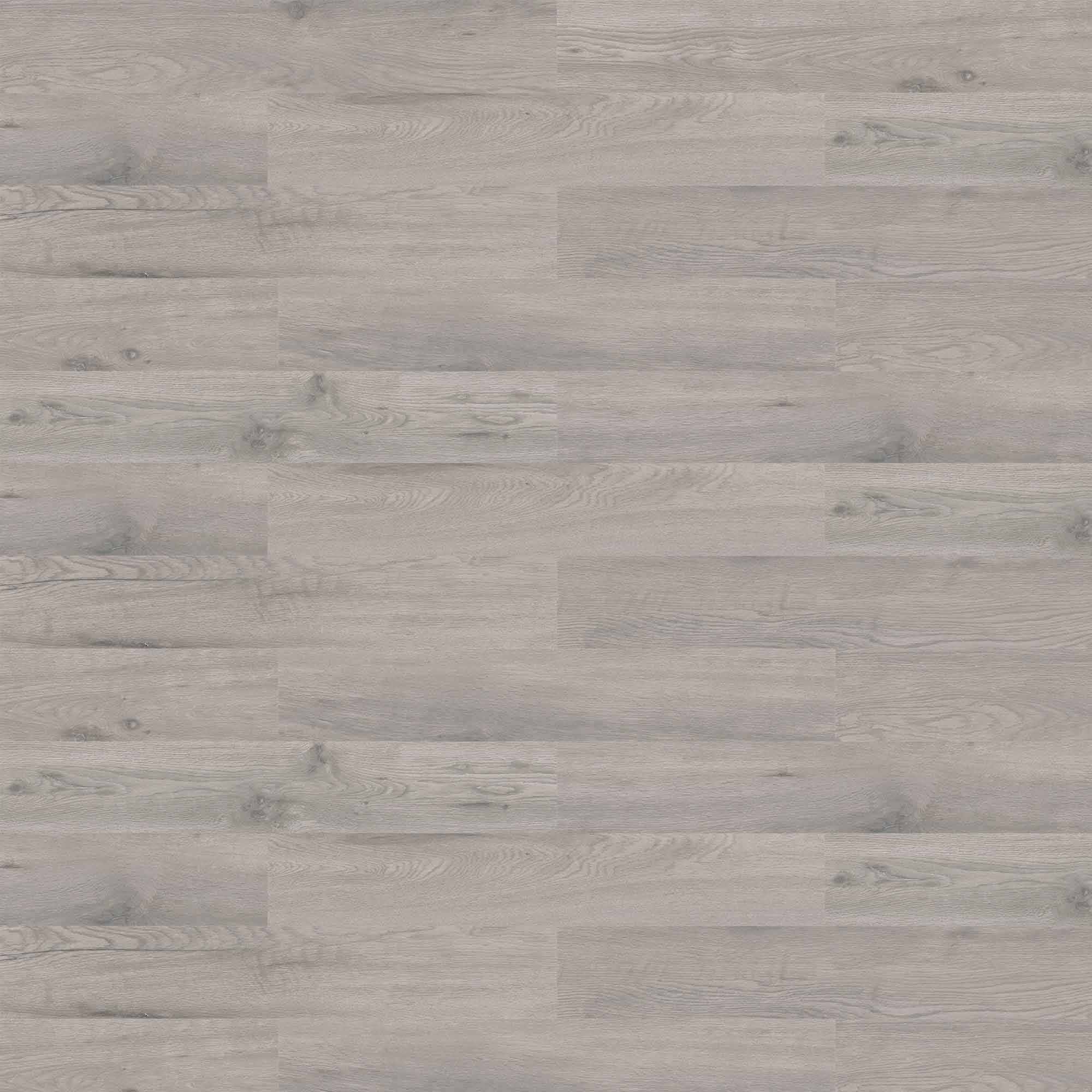 latte様4 KPP-10-0974_1.jpg?v=